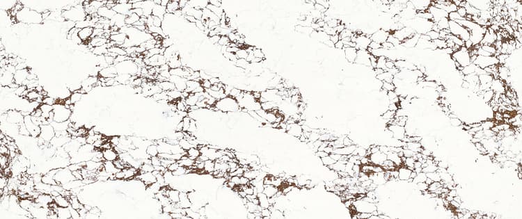 Calacatta Rust