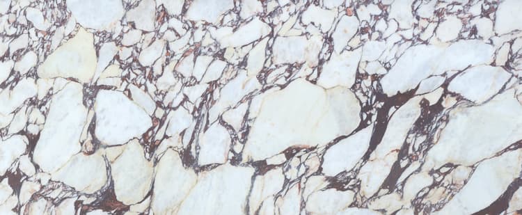 Calacatta Viola